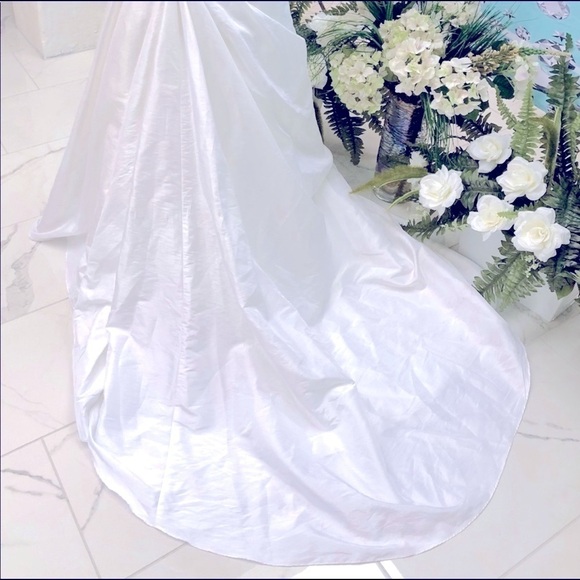 David’s Bridal White Strapless Beaded A-Line Wedding Dress Size 2 Bridal Gown - Picture 3 of 12